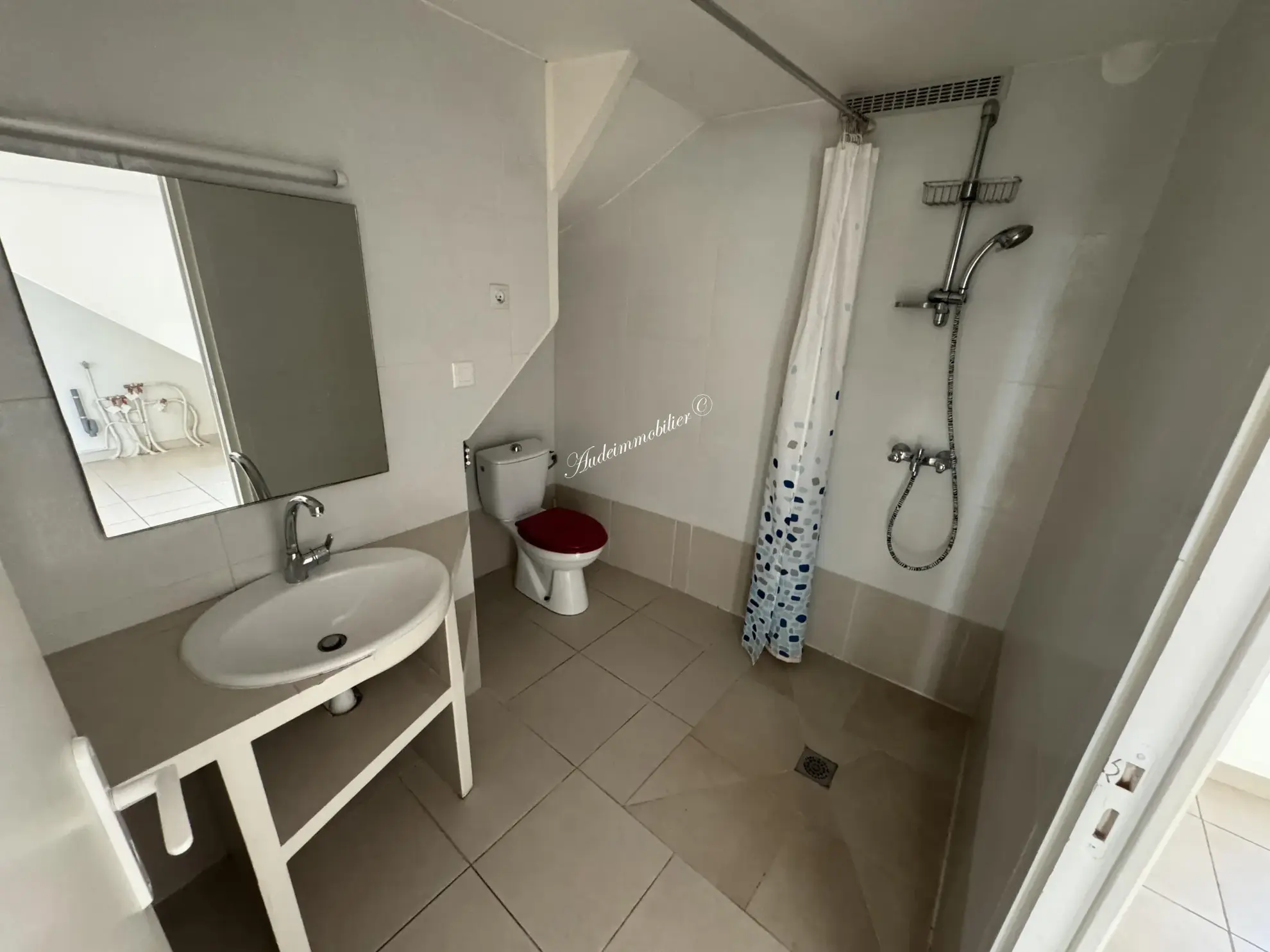 À vendre : Ensemble de deux maisons avec jardins à Couiza 