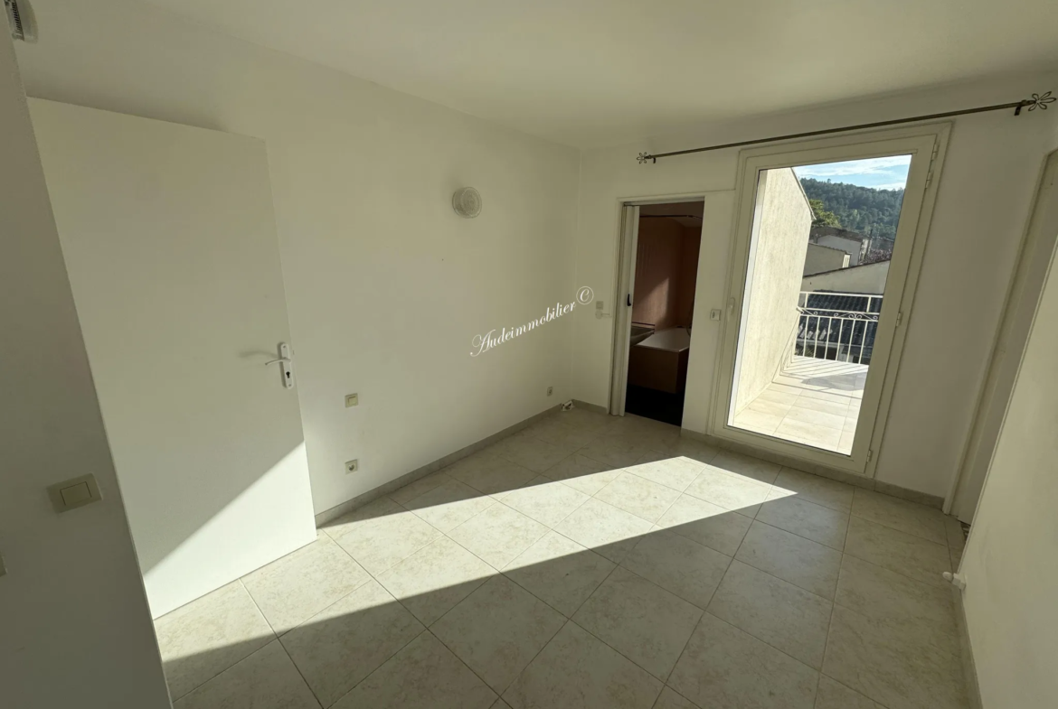 À vendre : Ensemble de deux maisons avec jardins à Couiza 