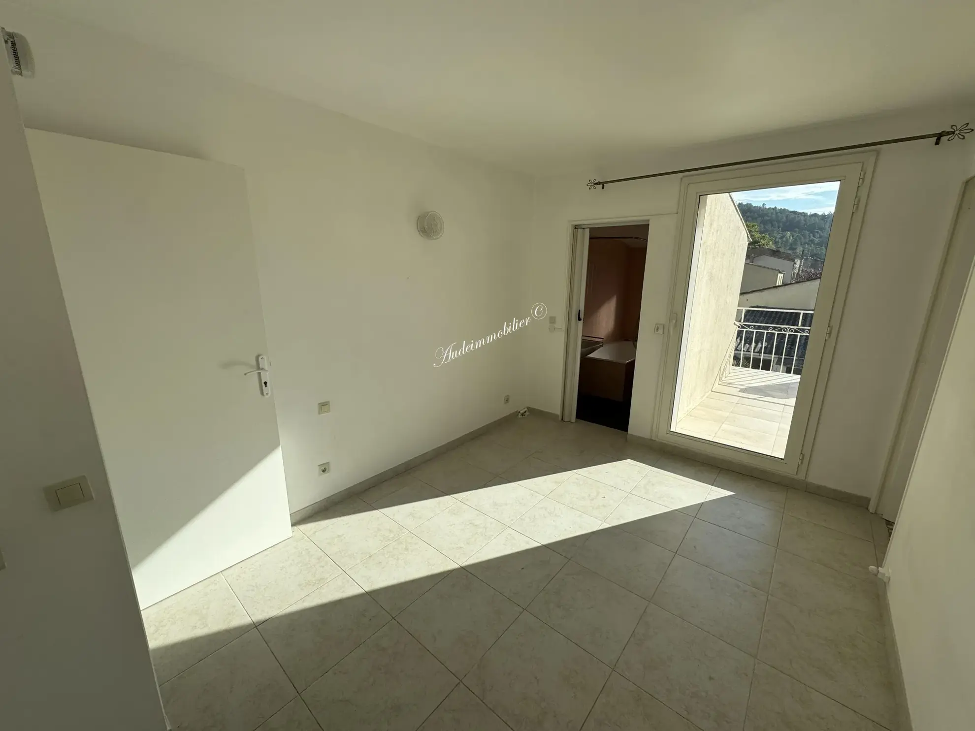 À vendre : Ensemble de deux maisons avec jardins à Couiza 