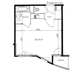 T1 bis avec loggia à vendre à Villeurbanne