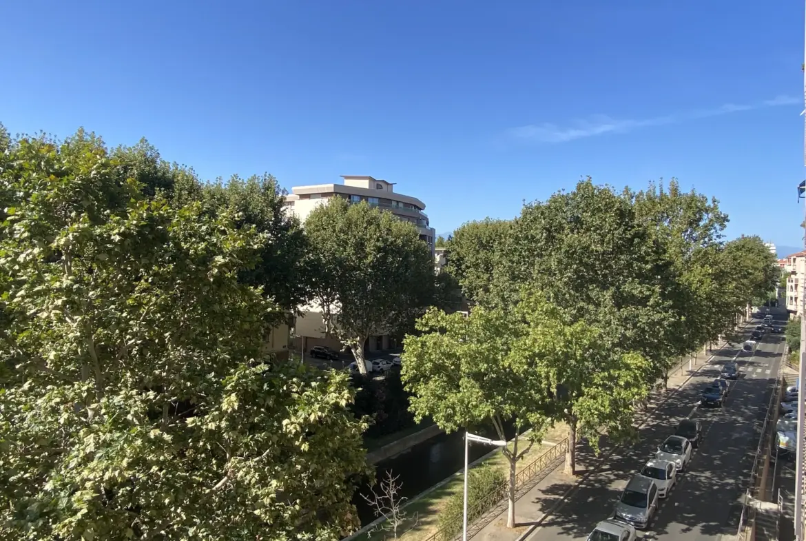 Bel appartement rénové avec vue à Perpignan 