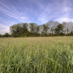 Terrain viabilisé à Le Tourneur - 884 m²