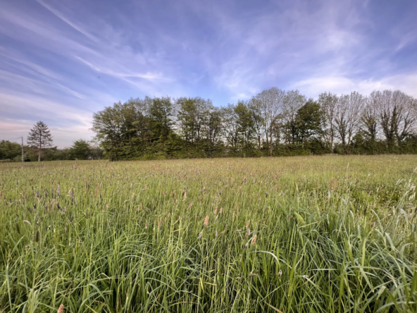 Terrain viabilisé à Le Tourneur - 884 m²