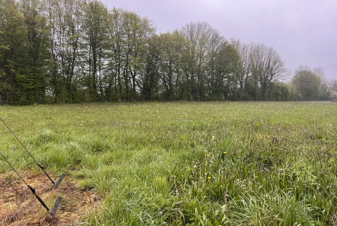 Terrain viabilisé à Le Tourneur - 884 m² 