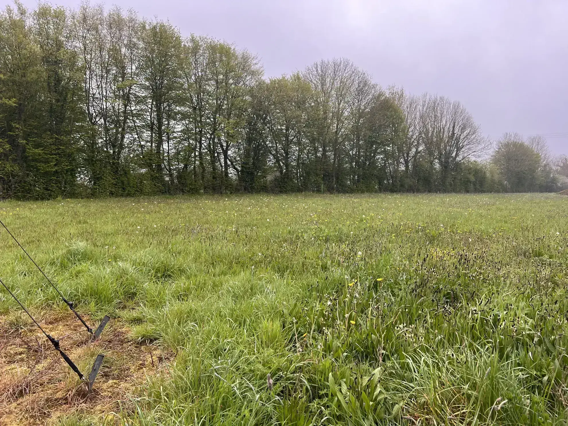 Terrain viabilisé à Le Tourneur - 884 m² 