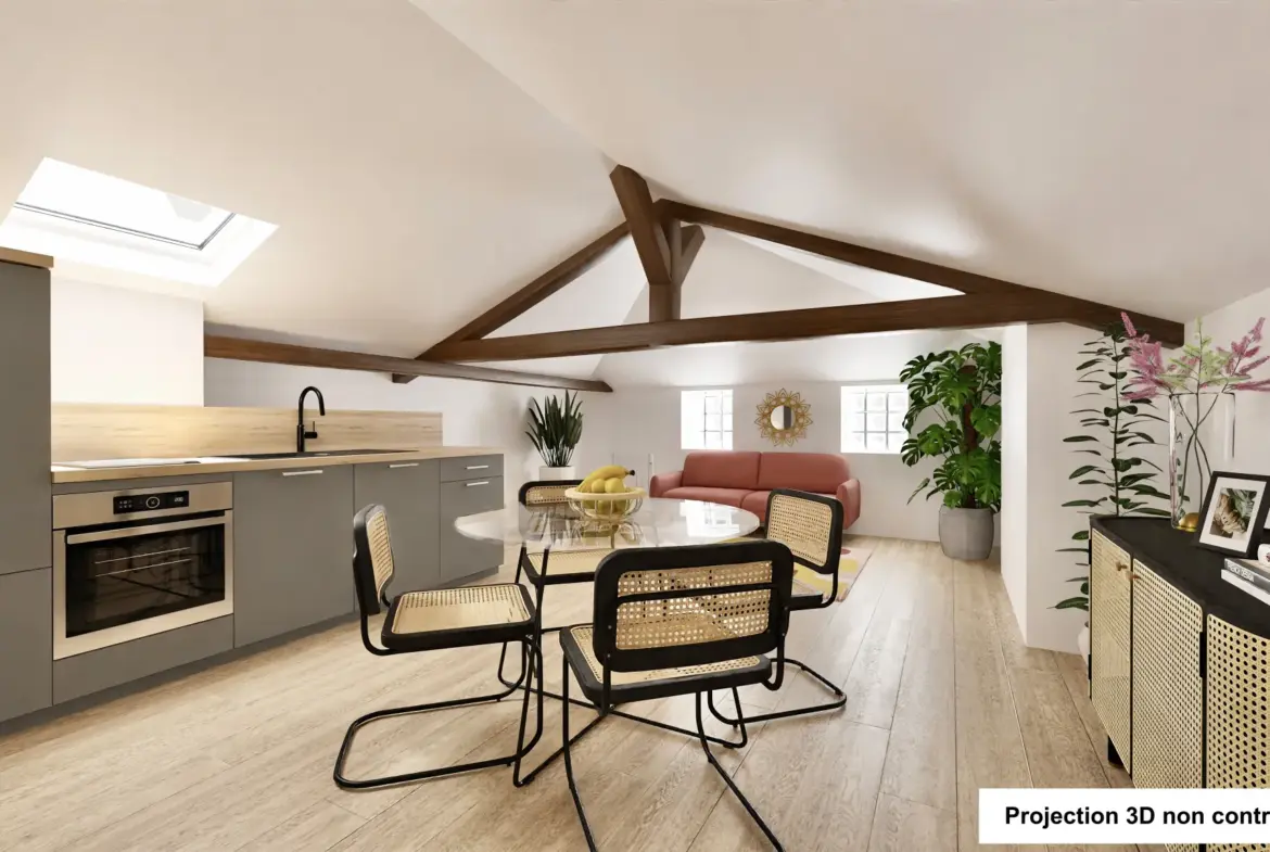 Bel appartement T2 rénové à vendre au centre de Villefranche-sur-Saône 