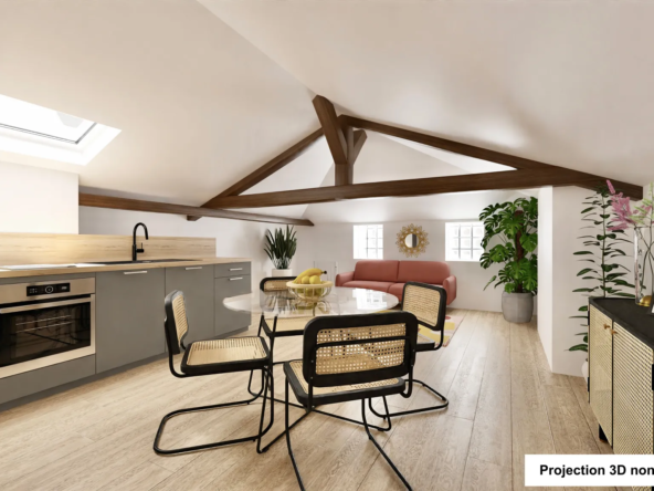 Bel appartement T2 rénové à vendre au centre de Villefranche-sur-Saône