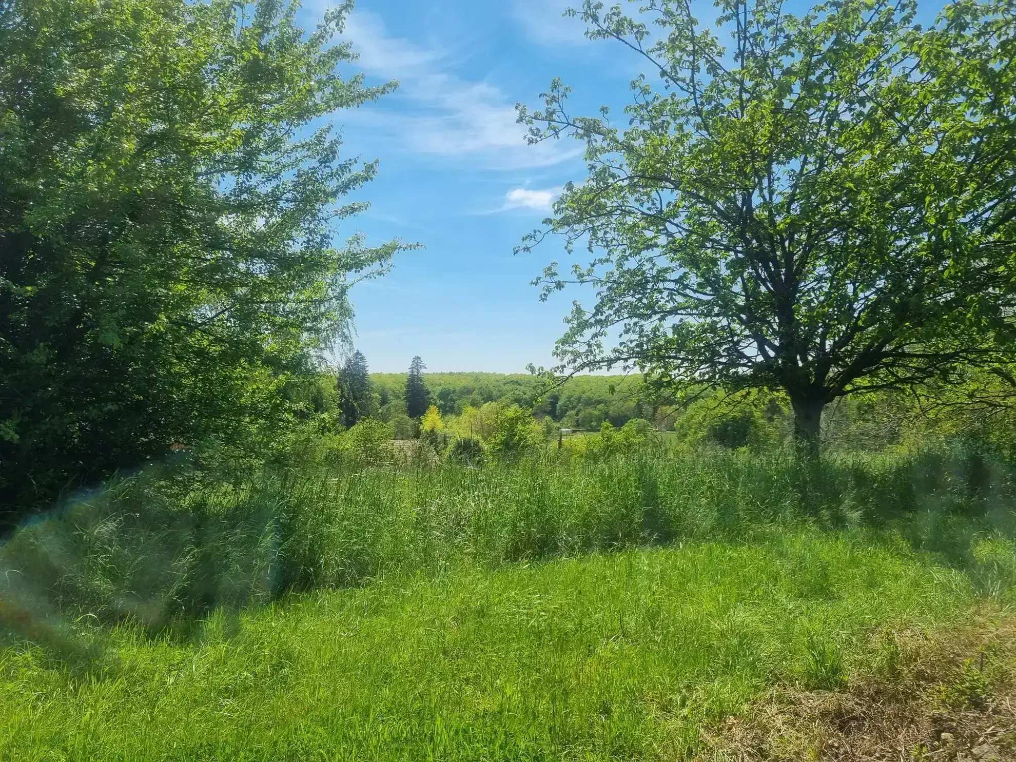 Maison de 133,88 m2 à vendre à Mieuxce 