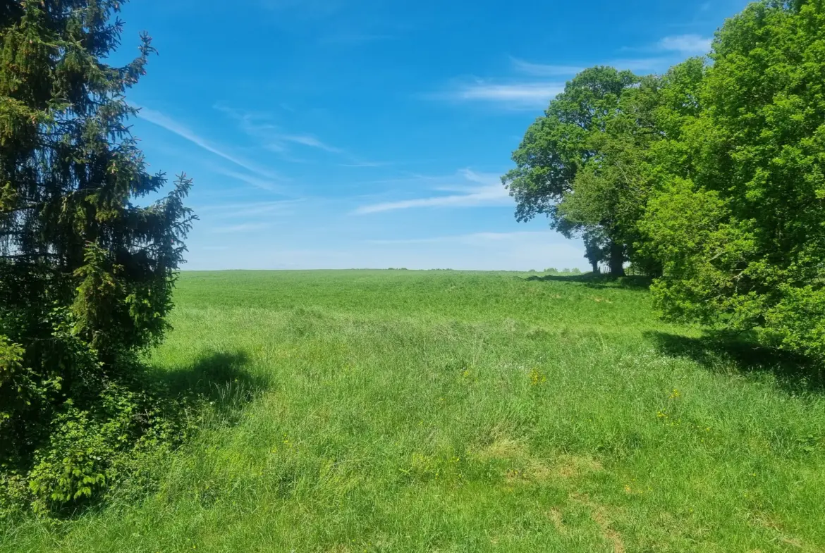 Maison de 133,88 m2 à vendre à Mieuxce 