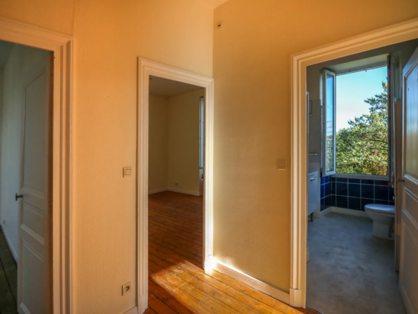 Maison ancienne à vendre à Saint-Savinien - 200 m2, 6 chambres, dépendances 
