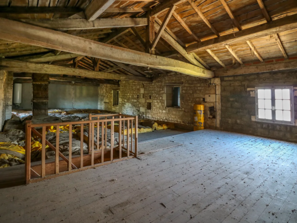Maison ancienne à vendre à Saint-Savinien - 200 m2, 6 chambres, dépendances 
