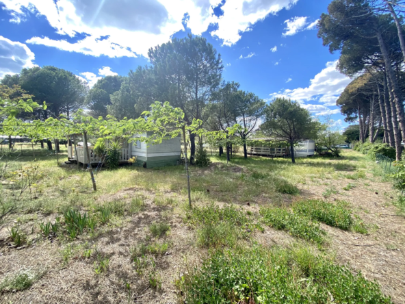 Terrain de loisir de 1614 m² avec 3 mobil-homes à VIAS plage