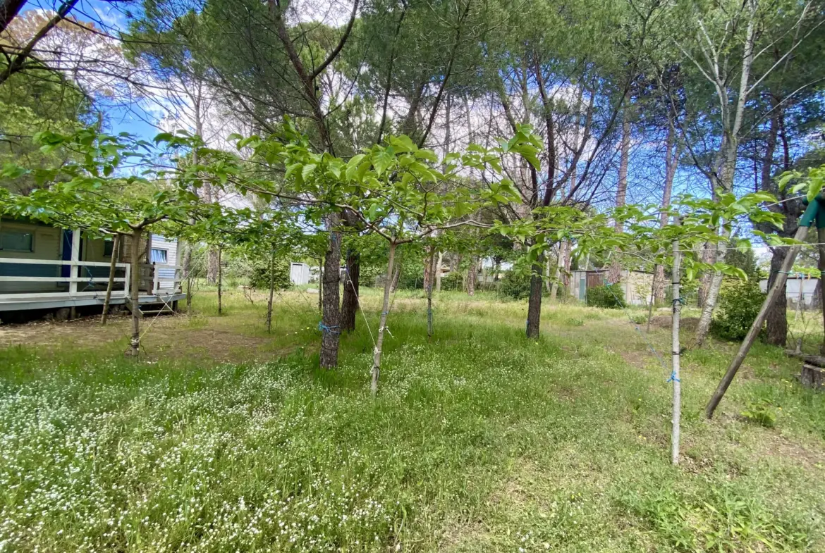Terrain de loisir de 1614 m² avec 3 mobil-homes à VIAS plage 