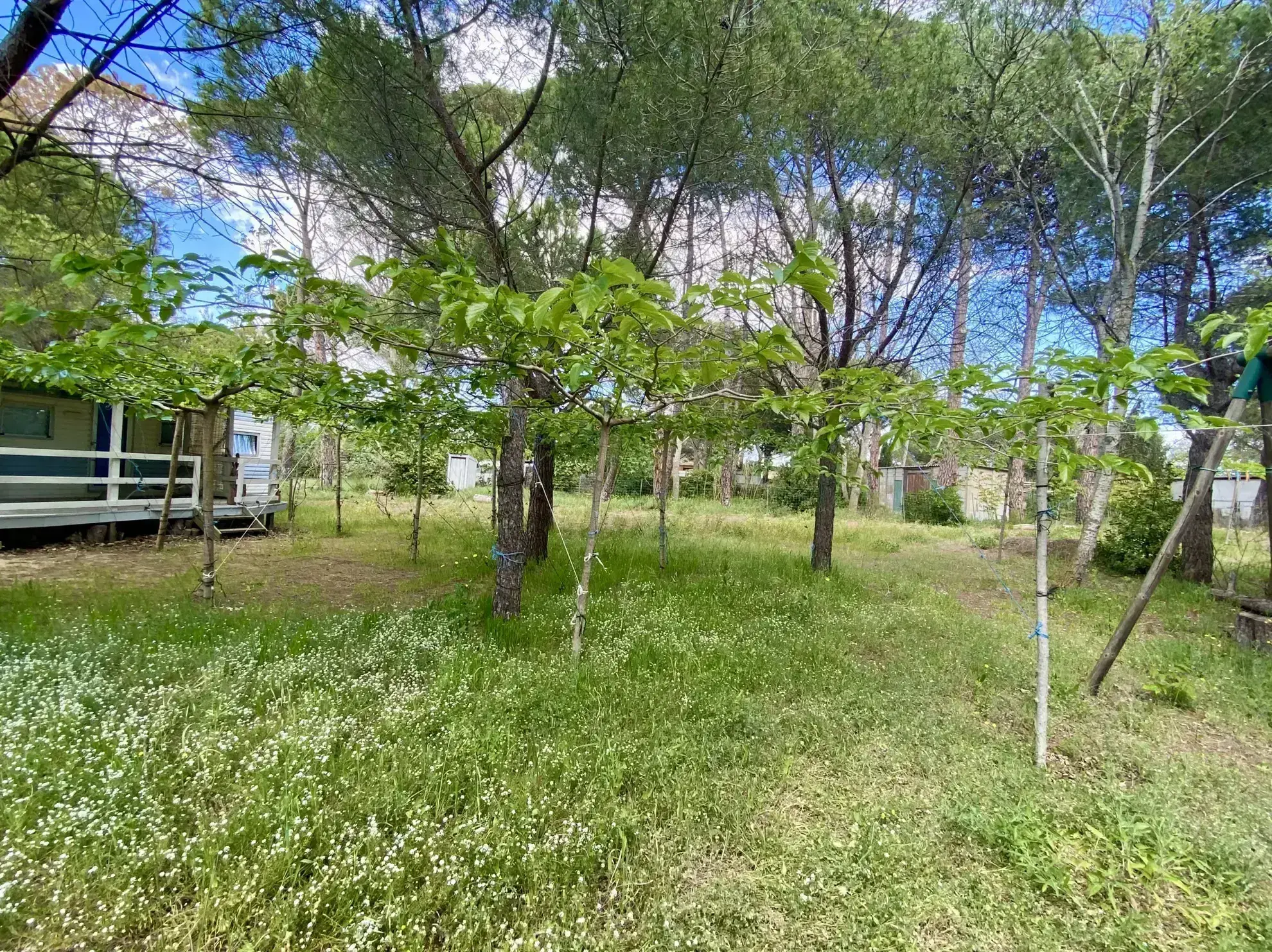 Terrain de loisir de 1614 m² avec 3 mobil-homes à VIAS plage 