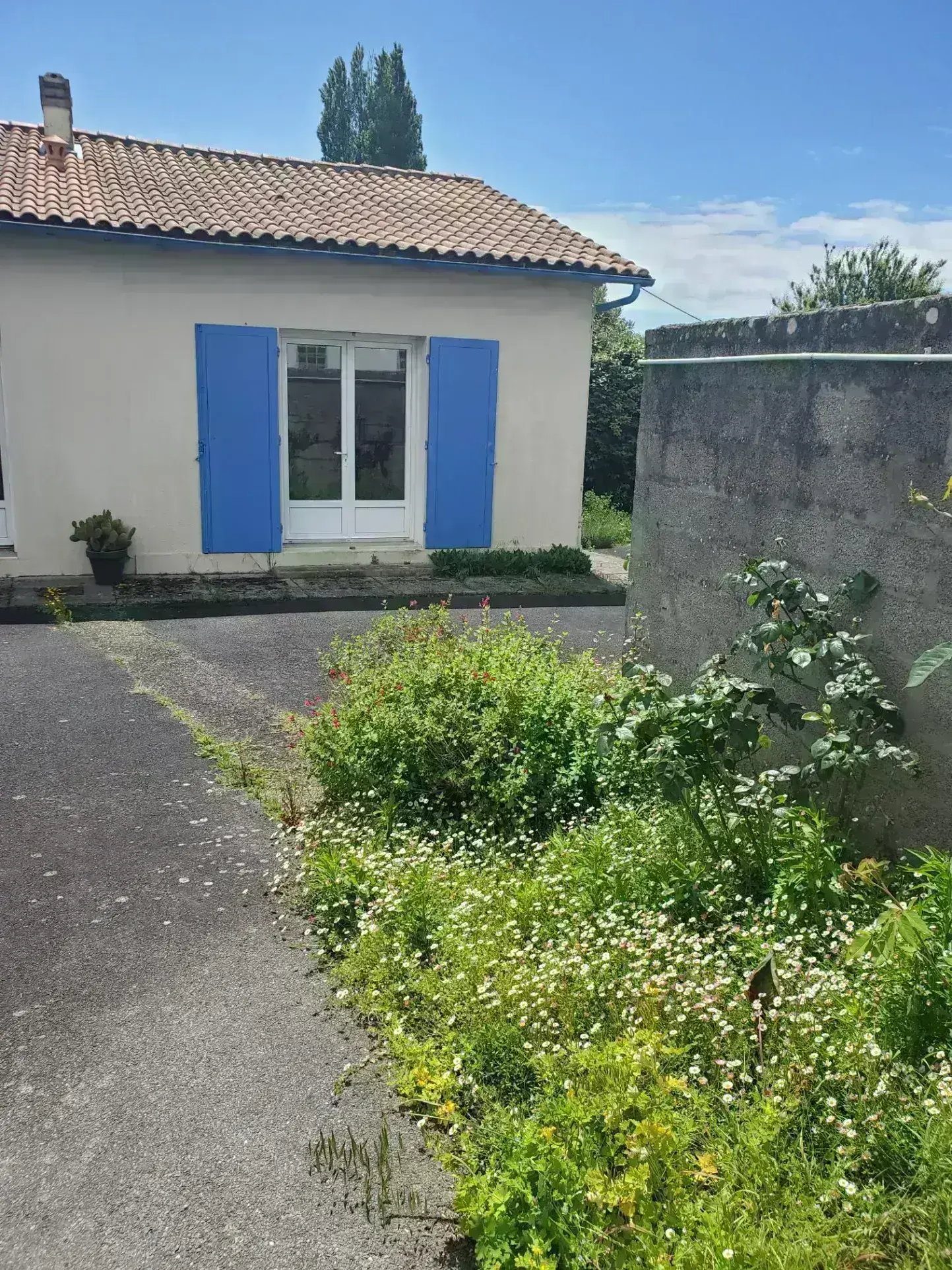 Maison 42 m² à vendre à Saint-Palais-sur-Mer 