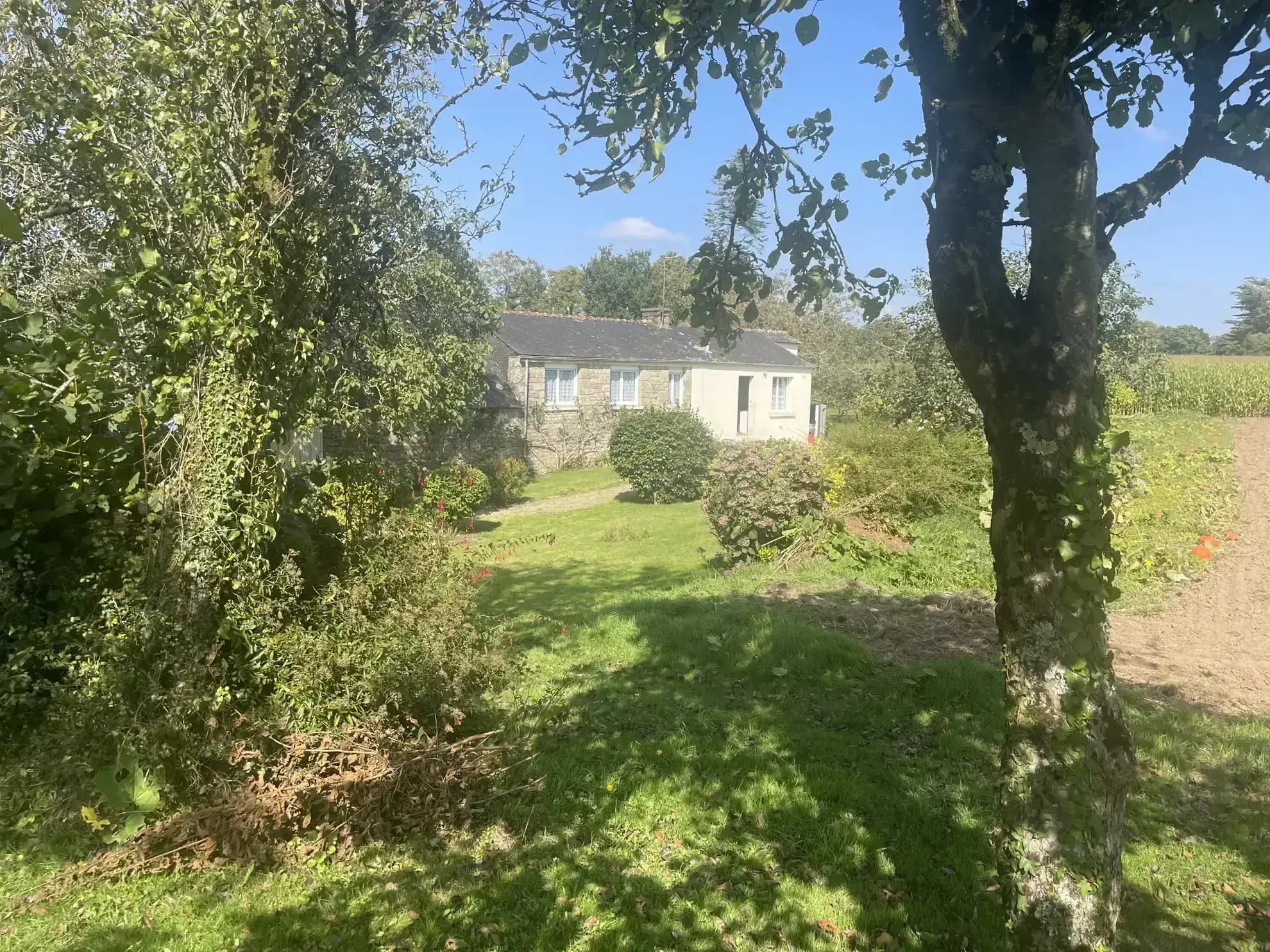 Maison de village à Melrand avec dépendances 
