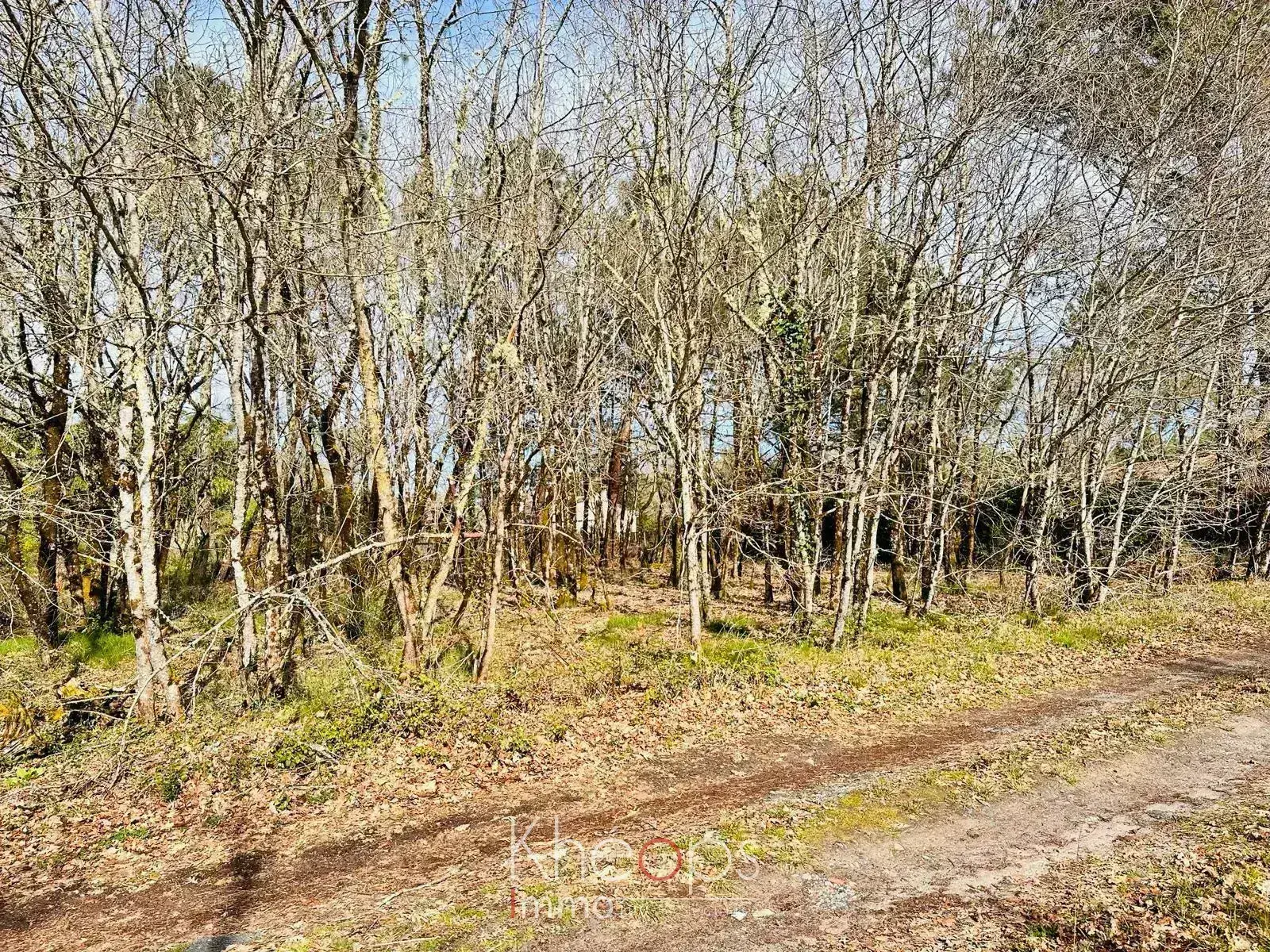 Terrain à bâtir de 585 m2 à vendre à Balizac, Sud Gironde 