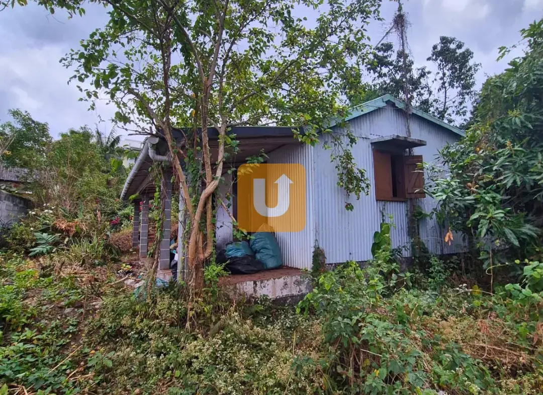Maison à restructurer sur une parcelle de 819m² dans les bas du Tampon 