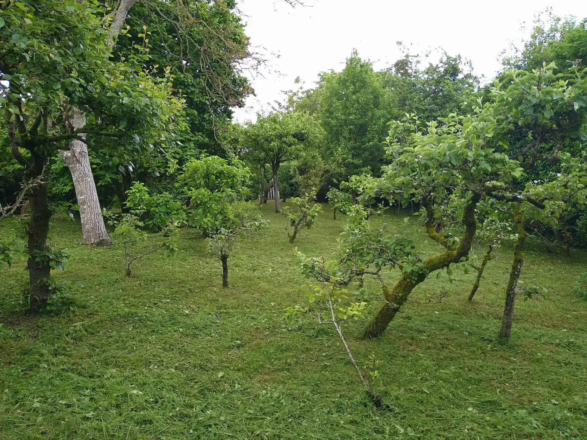 Terrain de loisir de 755 m² avec maisonnette à Sougé-le-Ganelon 