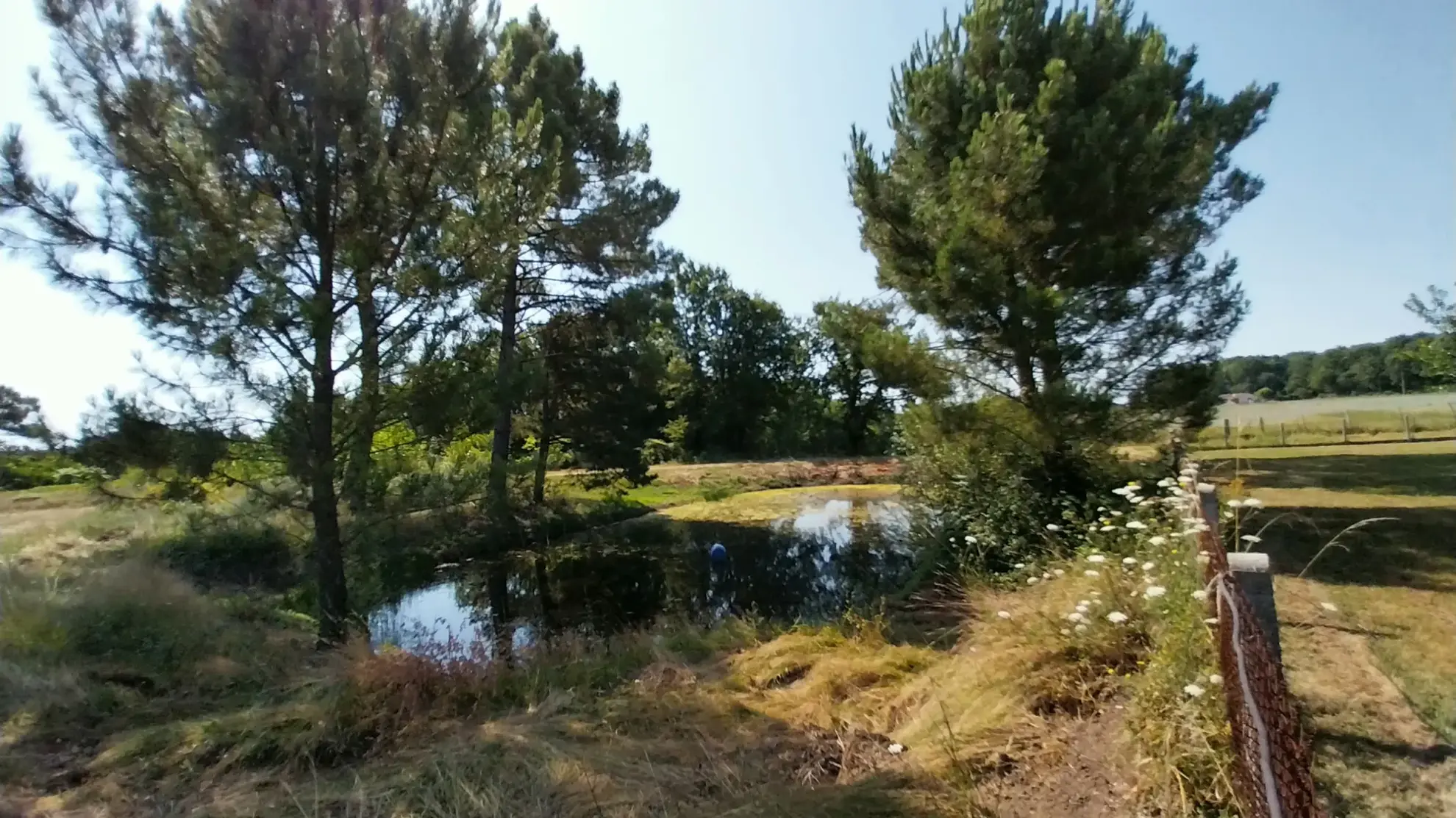 Maison en Pierre avec Piscine à Razac sur L'Isle, 2ha de Terrain 
