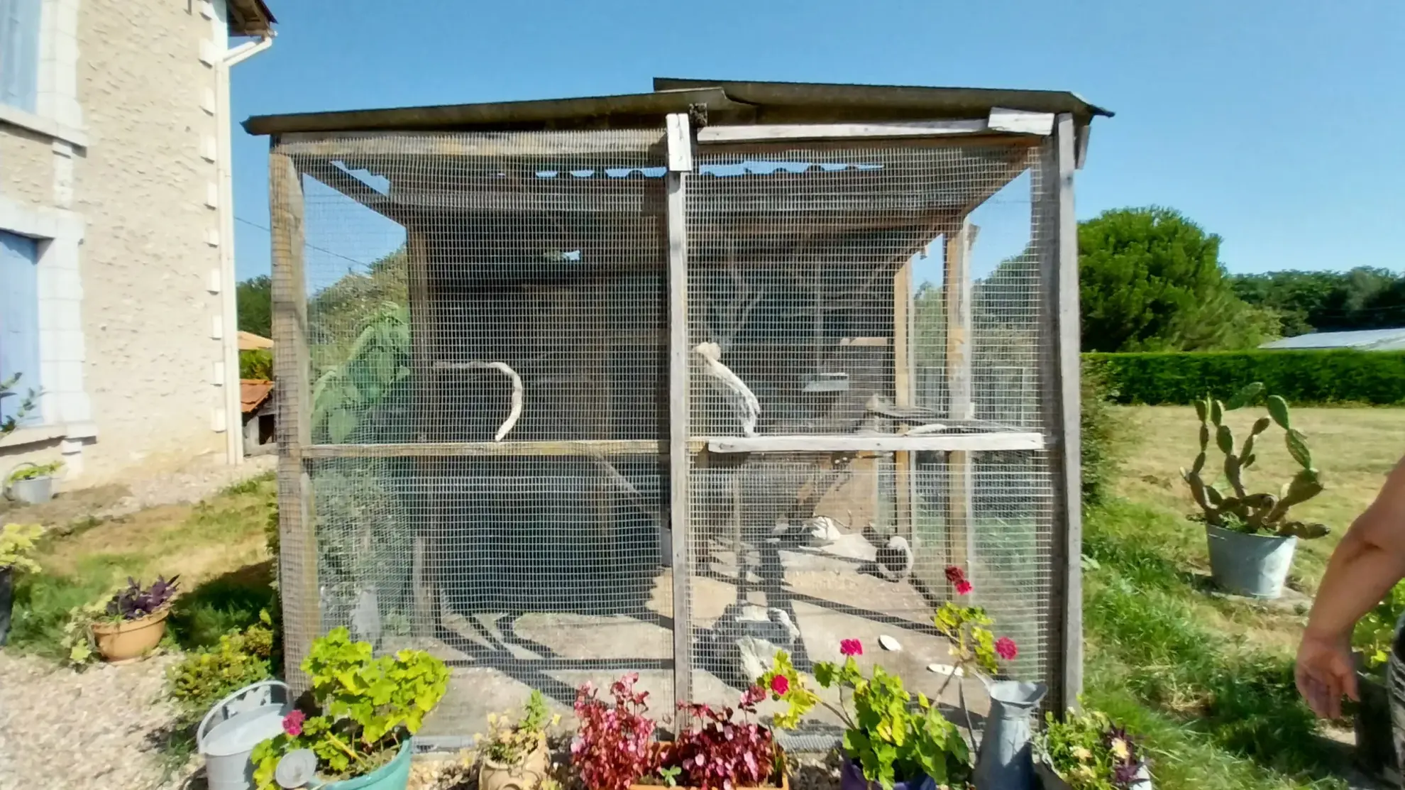 Maison en Pierre avec Piscine à Razac sur L'Isle, 2ha de Terrain 