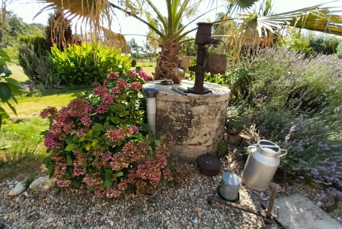 Maison en Pierre avec Piscine à Razac sur L'Isle, 2ha de Terrain 