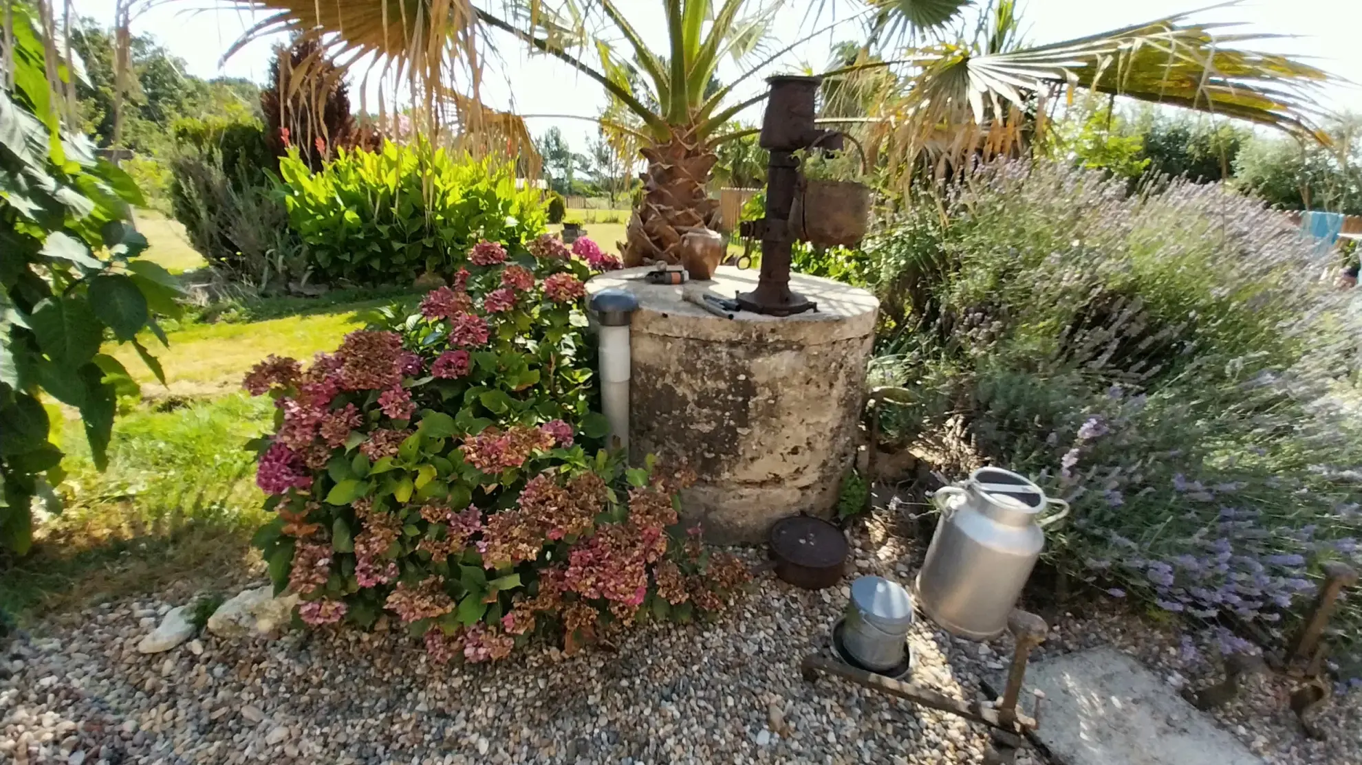 Maison en Pierre avec Piscine à Razac sur L'Isle, 2ha de Terrain 