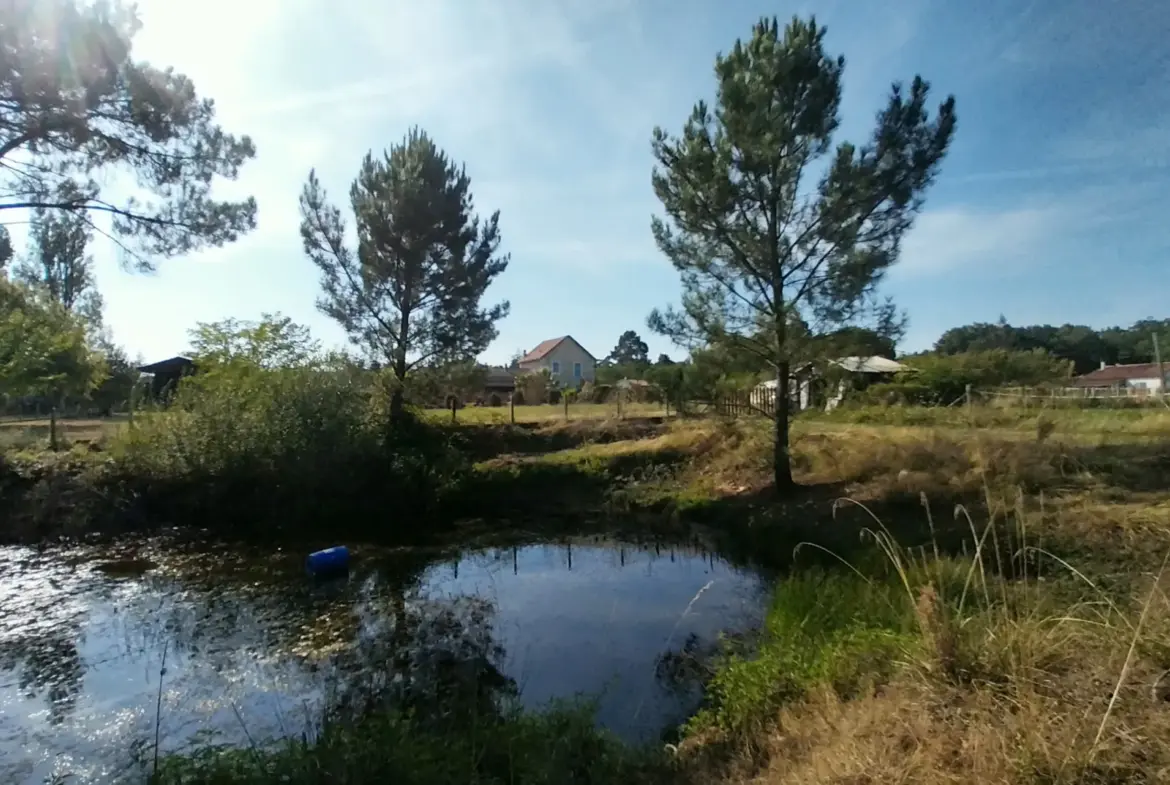 Maison en Pierre avec Piscine à Razac sur L'Isle, 2ha de Terrain 