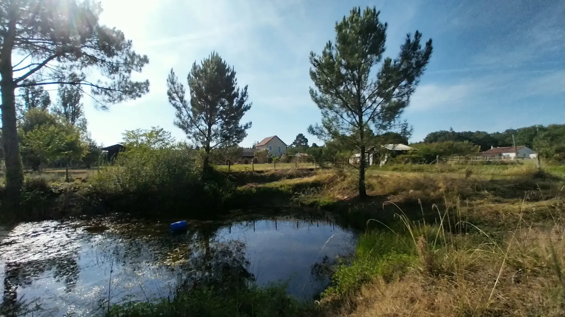 Maison en Pierre avec Piscine à Razac sur L'Isle, 2ha de Terrain 