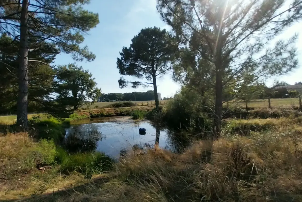 Maison en Pierre avec Piscine à Razac sur L'Isle, 2ha de Terrain 