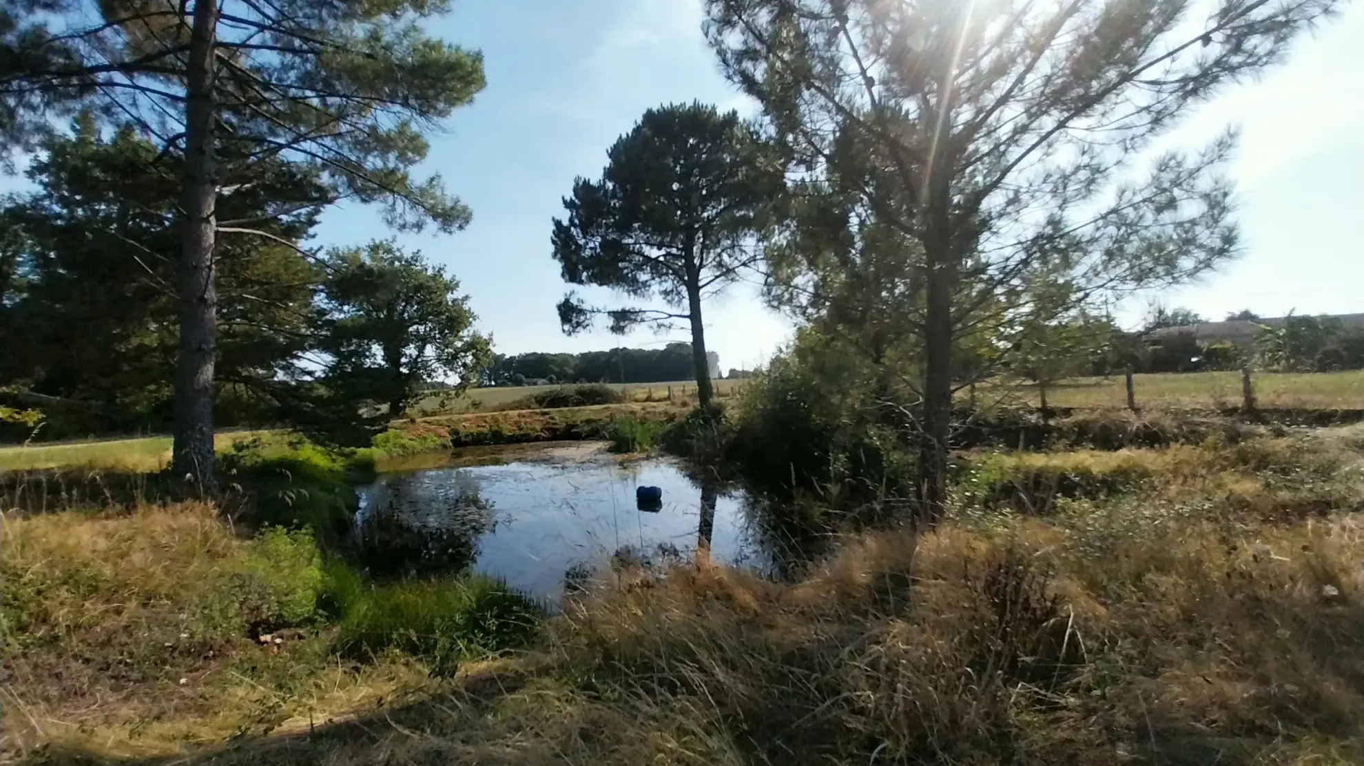 Maison en Pierre avec Piscine à Razac sur L'Isle, 2ha de Terrain 