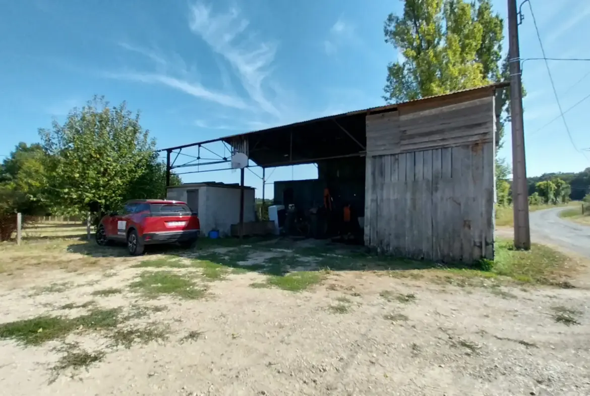 Maison en Pierre avec Piscine à Razac sur L'Isle, 2ha de Terrain 