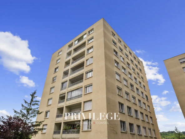 Appartement T4 en étage élevé avec terrasse à Ste Foy les Lyon 