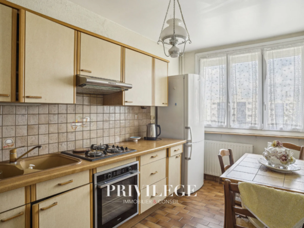 Appartement T4 en étage élevé avec terrasse à Ste Foy les Lyon 