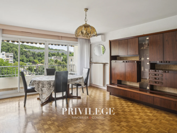 Appartement T4 en étage élevé avec terrasse à Ste Foy les Lyon 
