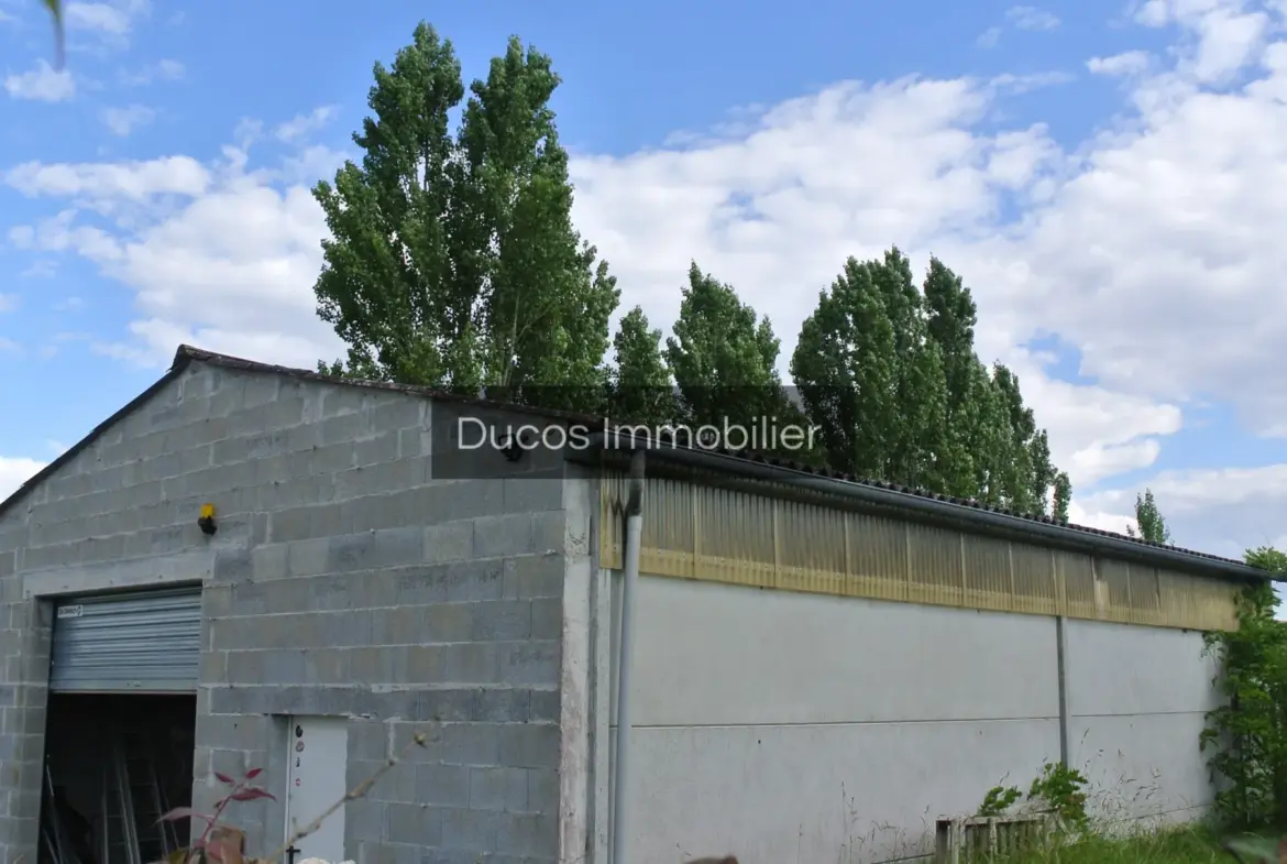 Maison avec hangar de 100 m² à Miramont de Guyenne 