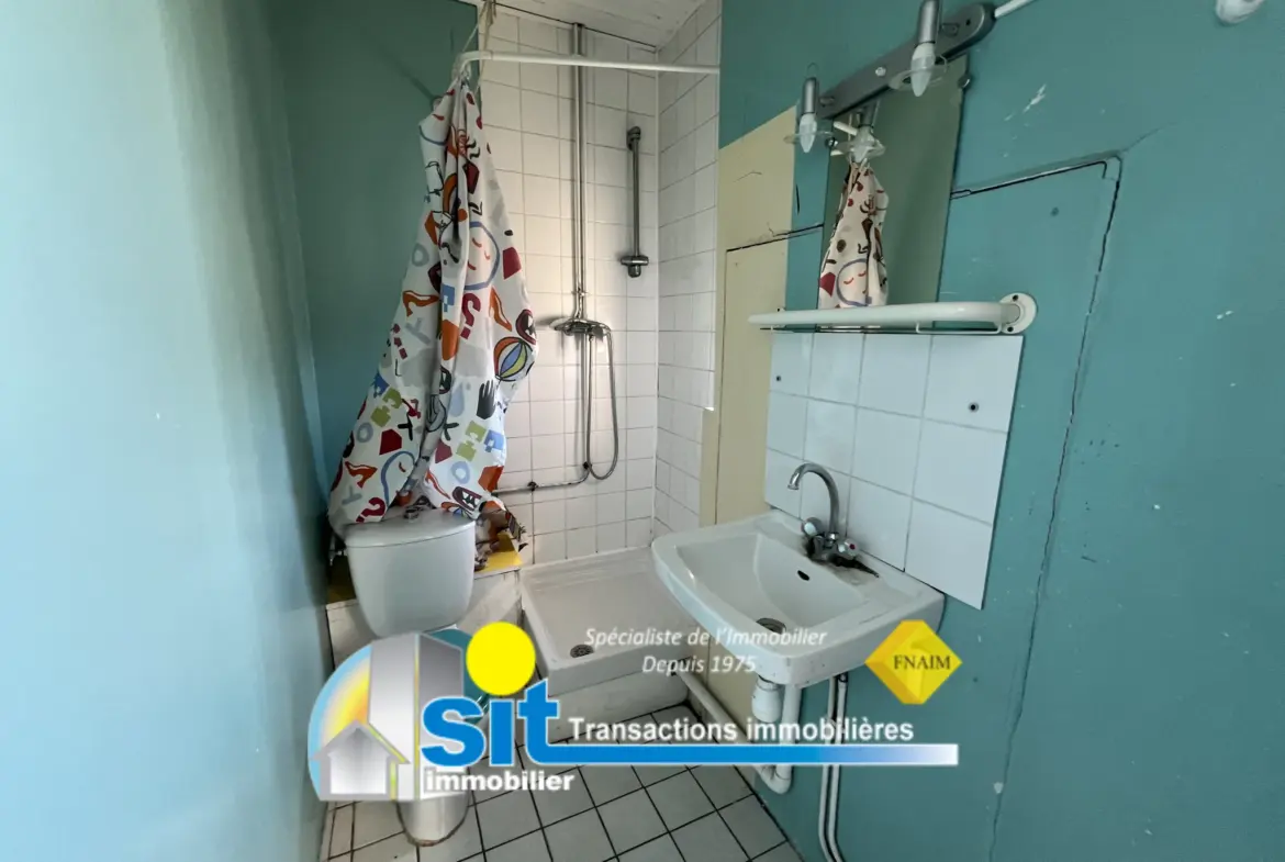À vendre : Appartement T2 de 47 m² à Vienne, Centre Ville 