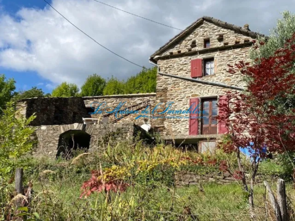 Charmante maison cévenole indépendante à St Frézal de Ventalon