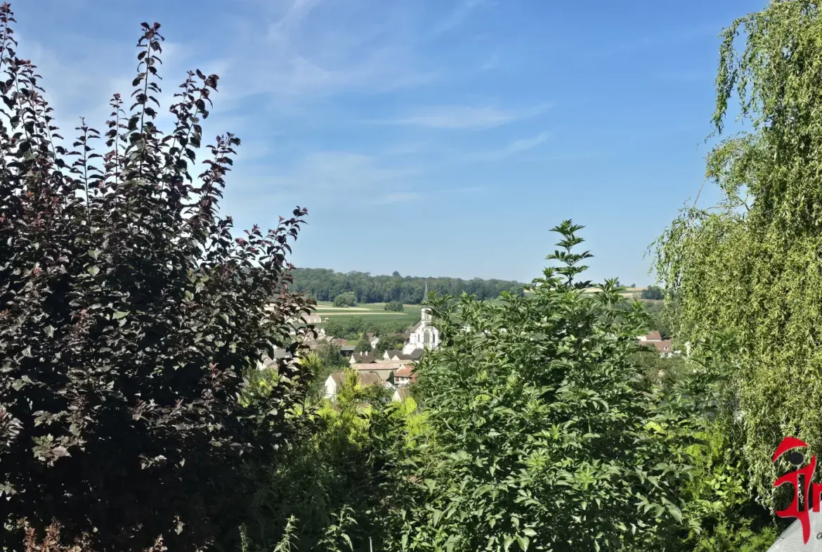 Charmante Maison de 98 m² à Michelbach-le-Haut avec Jardin 