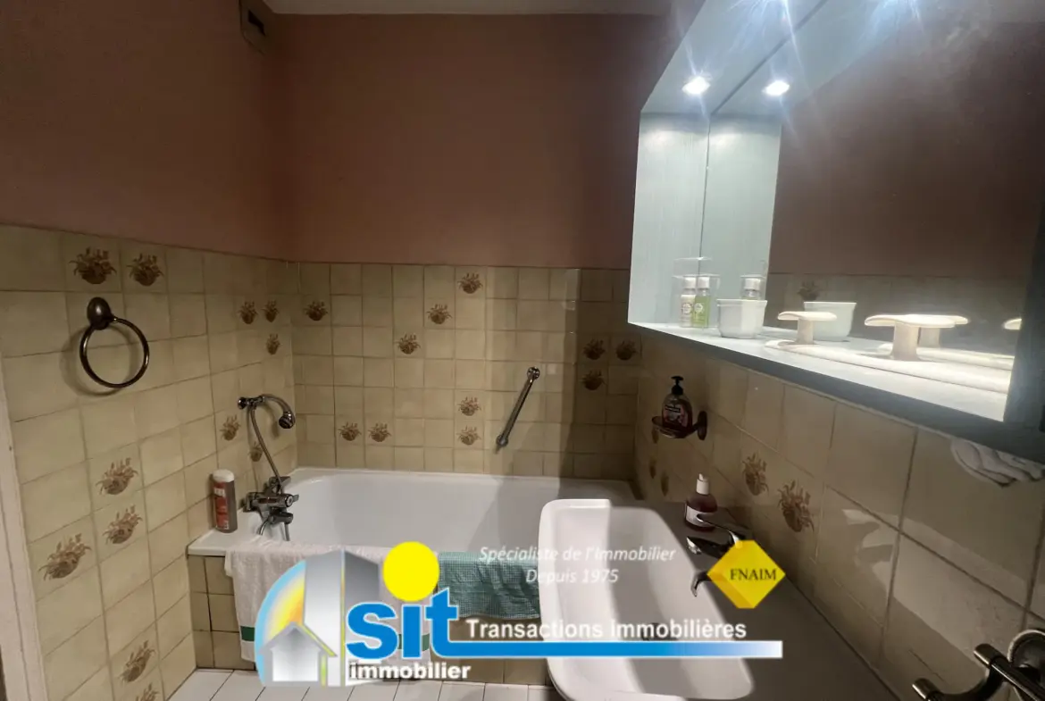 Vente Appartement T4 Vue Rhône à Vienne 