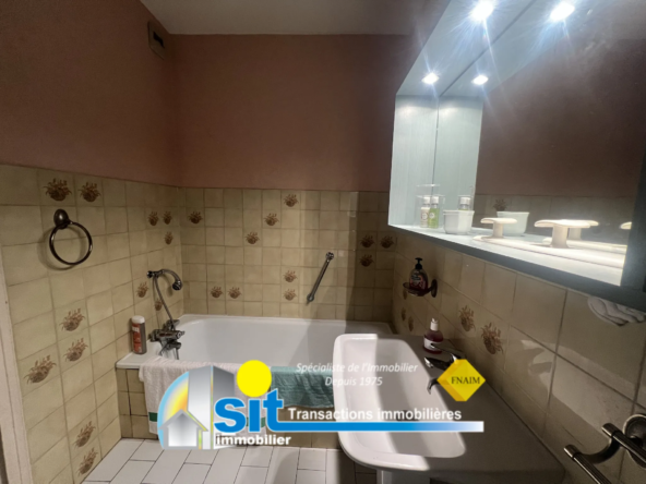 Vente Appartement T4 Vue Rhône à Vienne 