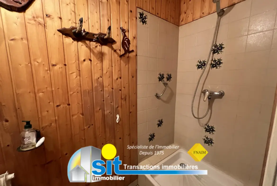 Vente Appartement T4 Vue Rhône à Vienne 