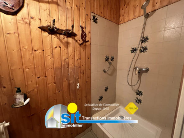 Vente Appartement T4 Vue Rhône à Vienne 
