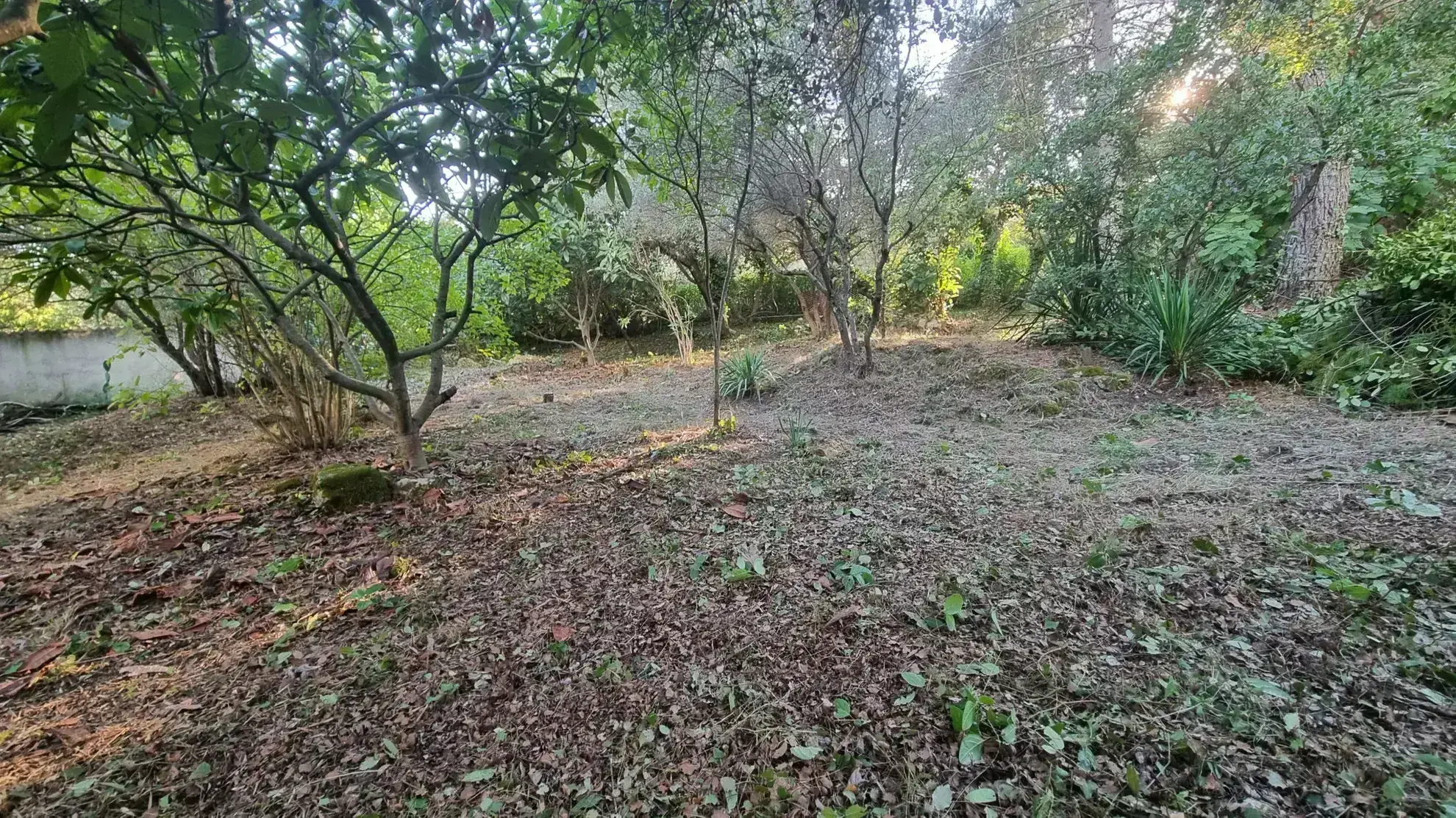 Terrain Viabilisé à Vendre à Villevieille - 776 m² 