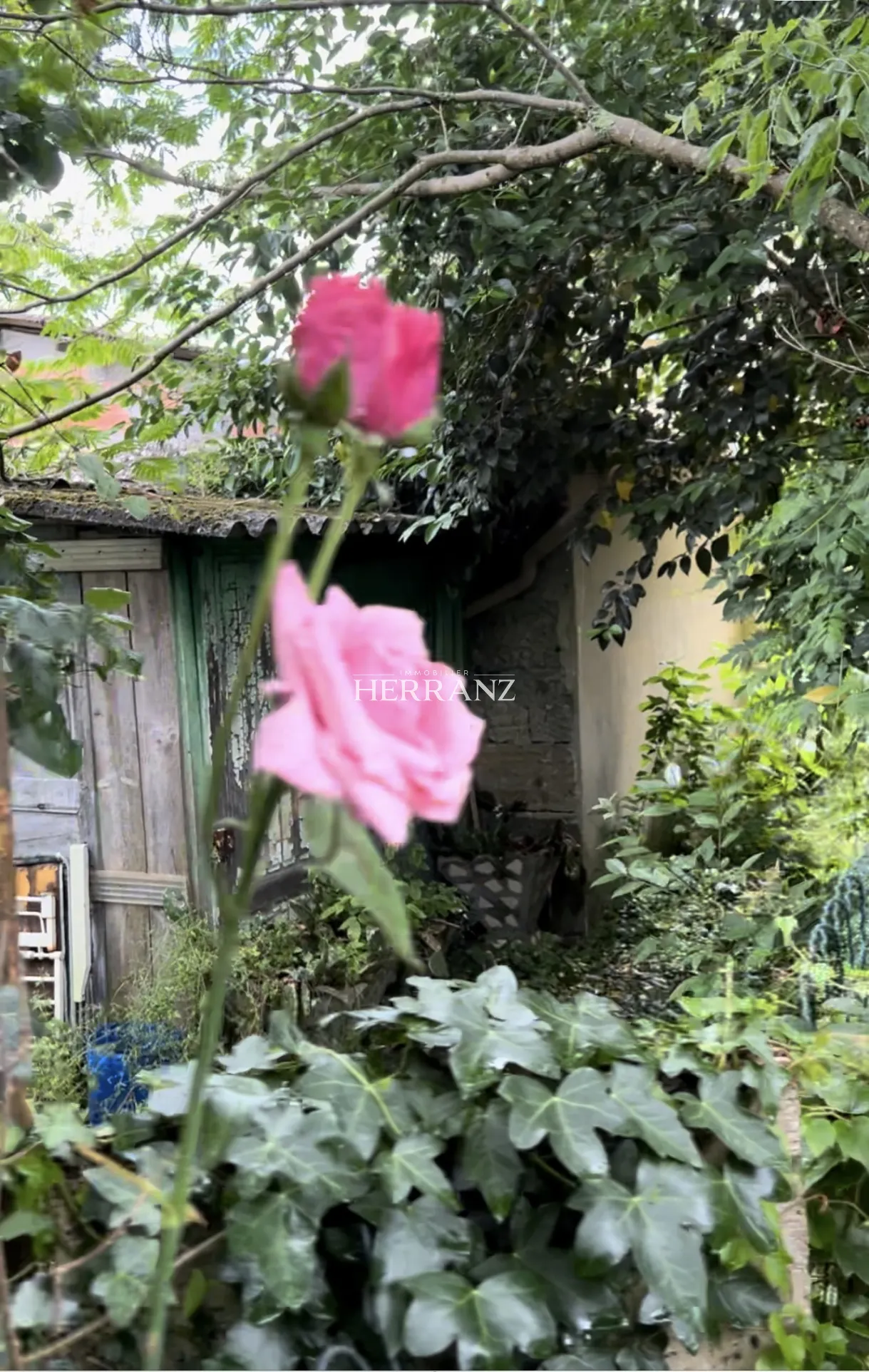 Maison de ville à rénover de 5 pièces à St Denis de Pile 