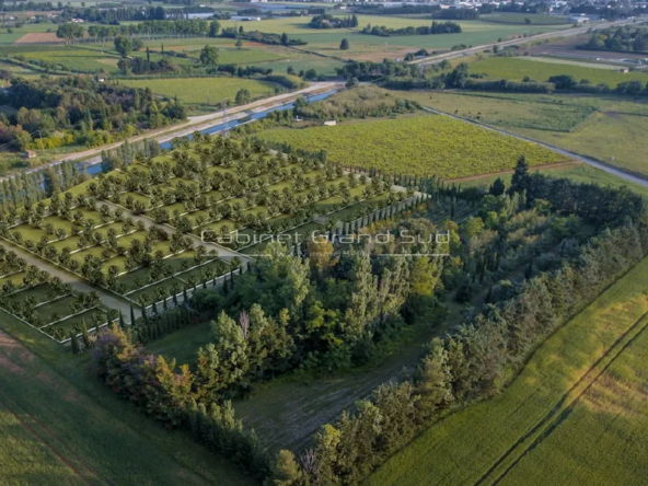 Terrain de loisir de 100 m² à Mudaison dans un jardin partagé