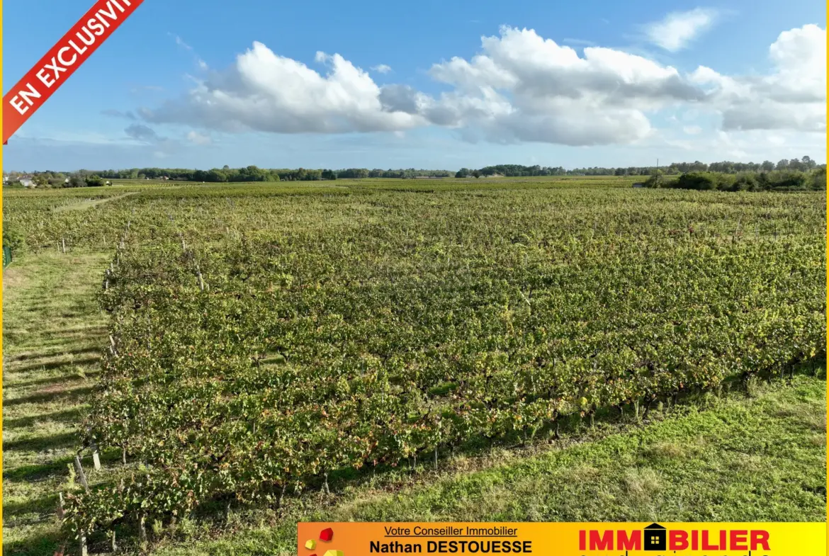 Terrain à bâtir avec vue dégagée sur les vignes à Portets 
