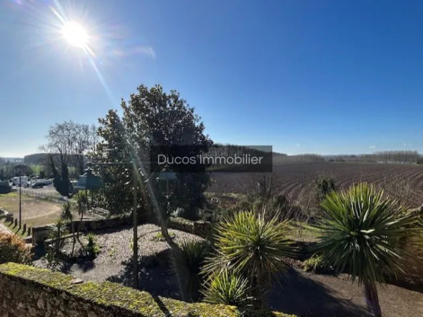 Maison authentique à vendre à Ste Bazeille, 2 niveaux et grande terrasse 