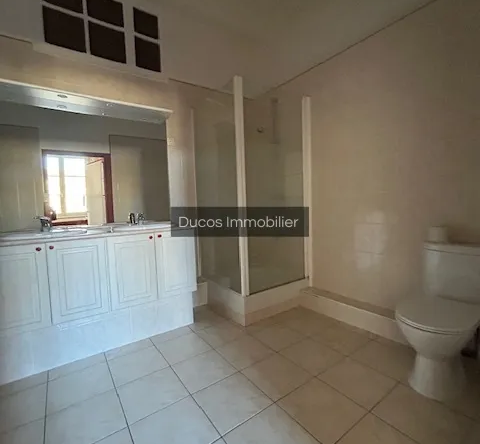 Maison authentique à vendre à Ste Bazeille, 2 niveaux et grande terrasse 