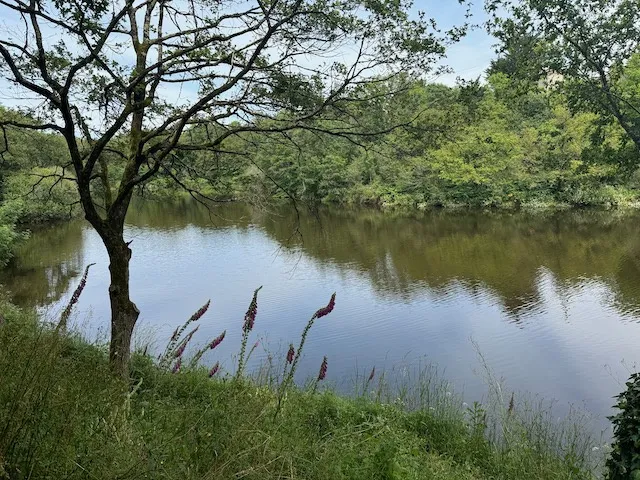 Terrain à bâtir avec vue dégagée sur la rivière à Château-Guibert 